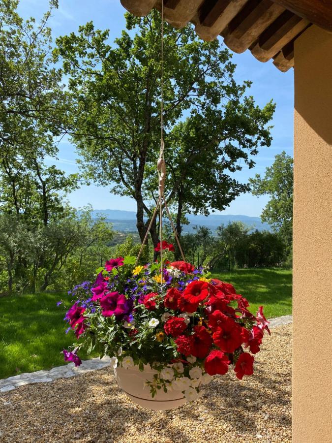 Chante Coucou Saint-Saturnin-lès-Apt Extérieur photo